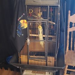 Bird Cage And Cover
