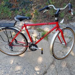 Performance X107 Hybrid Bike 