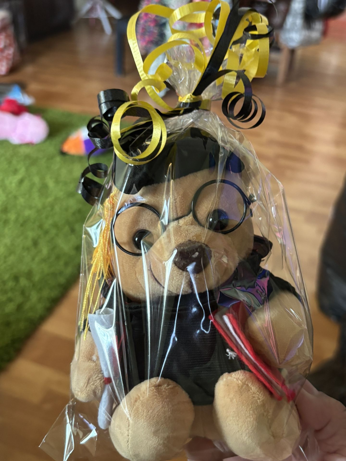 Teddy Bear For Graduate