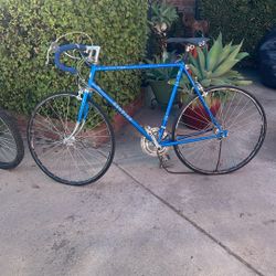 Shwinn 10 Speed Bike 
