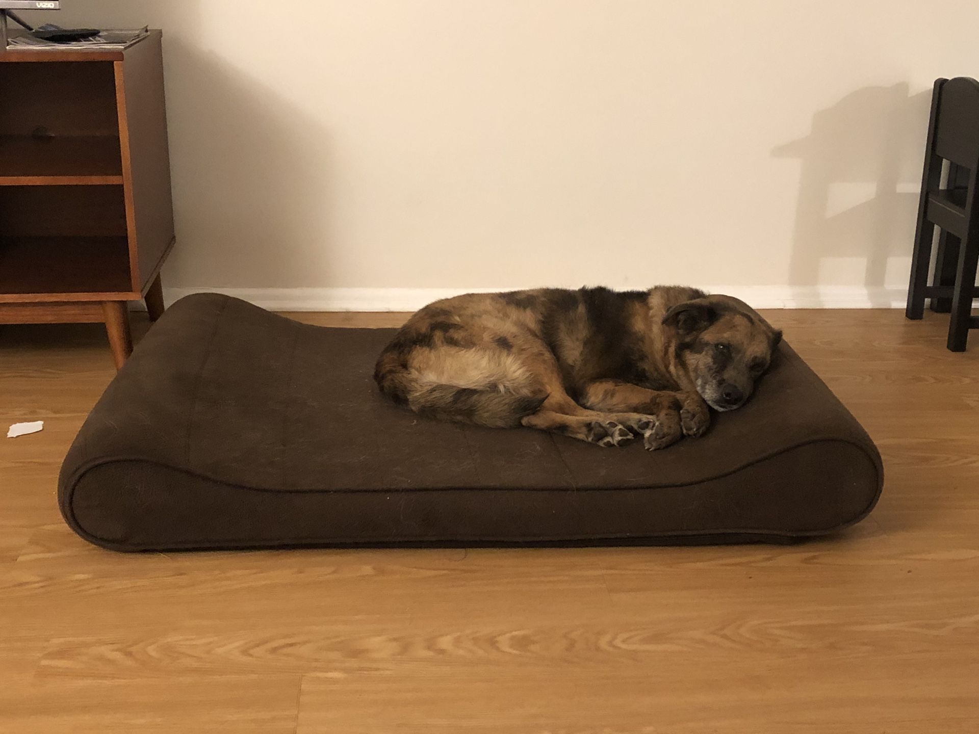 Extra large orthopedic dog bed