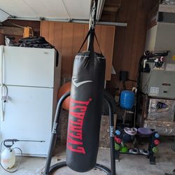100 lb Everlast Bag With Stand