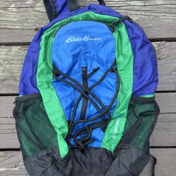 EDDIE BAUER 20L Stowaway Backpack 