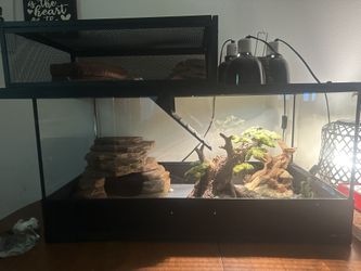 Reptile Enclosure And Everything In It Plus Accessories 