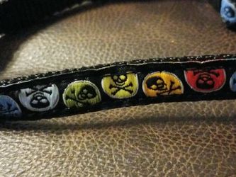 Bret Michaels Pets Rock Skull & Crossbones Collar xs