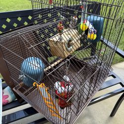 Big Bird Cage 