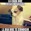 cesaar