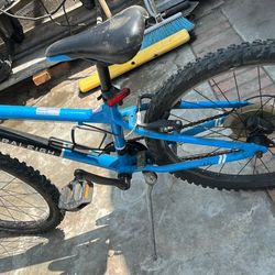 Raleigh Bike $100