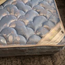 Freeeeee Full Size Mattress 