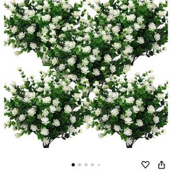 white Eucalyptus 10 Bundles