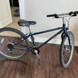 bike Mountain TREK 