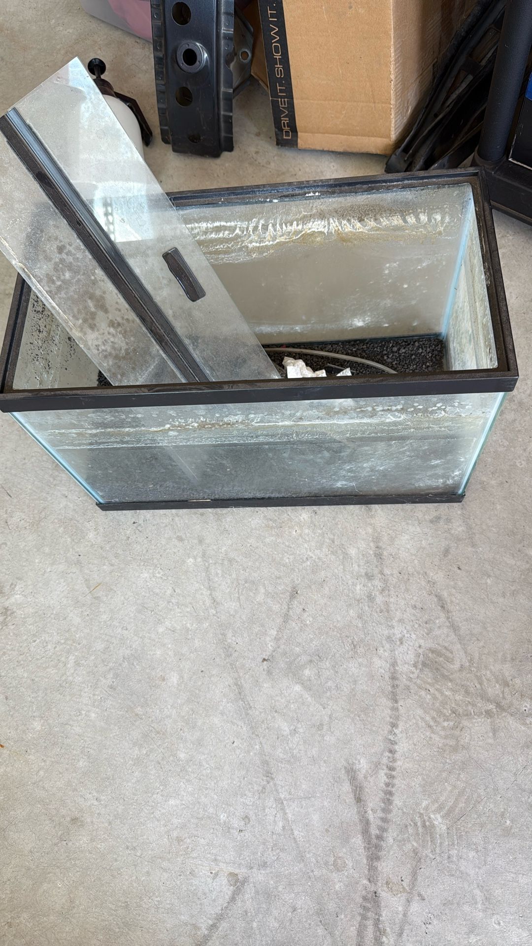 10 Gallon Tank