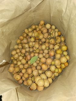 Fallbrook Fresh organic longan fruit for sale