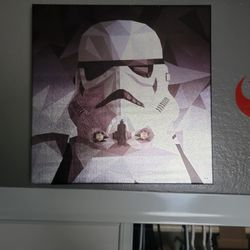 Storm Trooper Canvas