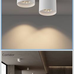 Ceiling Light Fixture, Flush Mount Ceiling Lights LED Dimmable Cylinder Ceiling Light Spot Light for Living Room Hallway Kitchen Dining Room Foyer 300