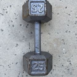 25lb Dumbbell 