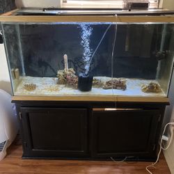 100 Gallon 