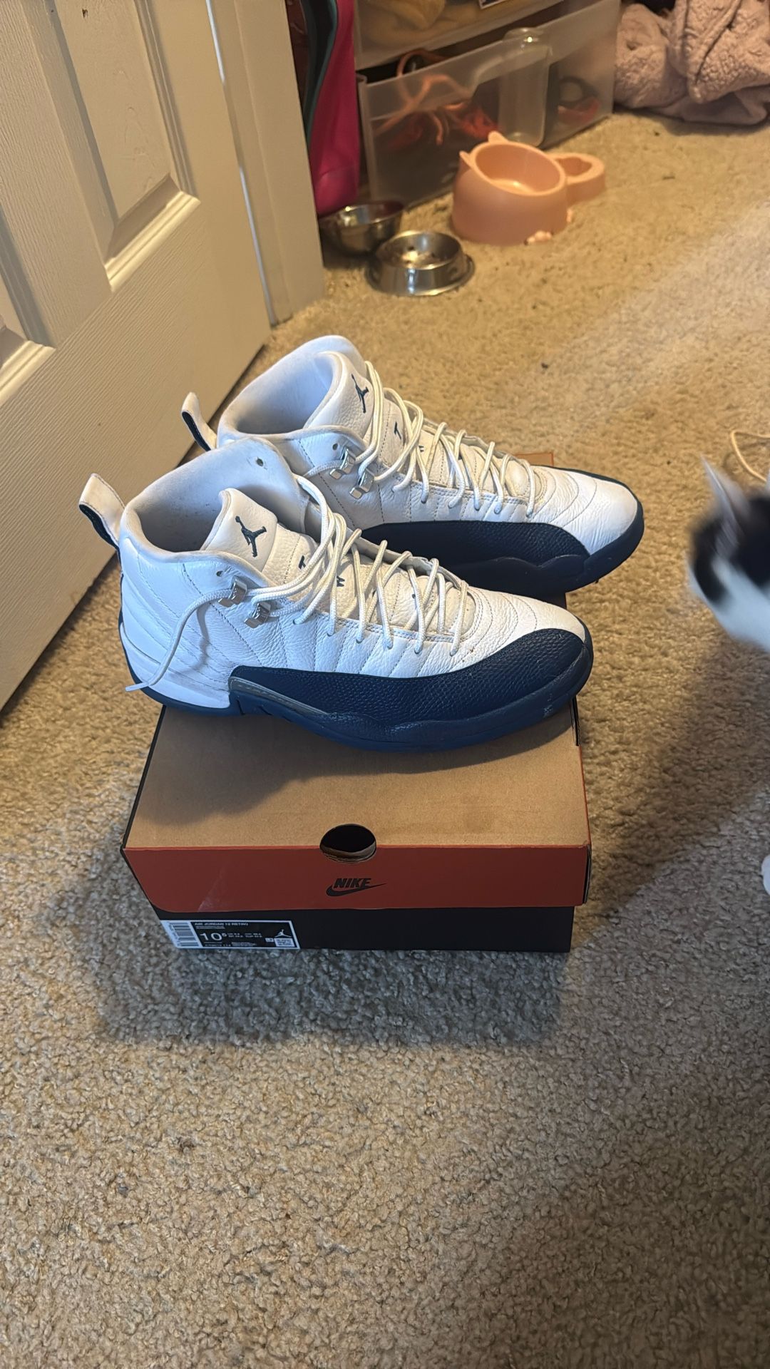 Jordan 12s