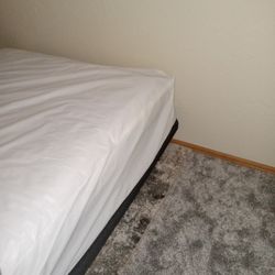 Hospital Bed