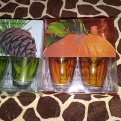Wallflower 2pks