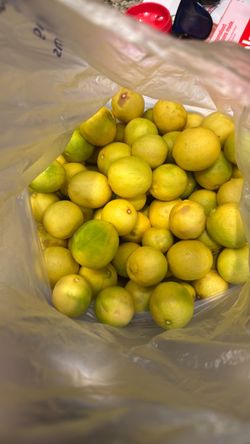 Fresh Limes