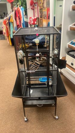 Large Black Bird Cage on Wheels