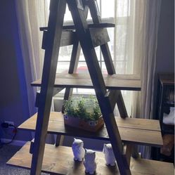 Industrial Handmade Ladder Shelf 