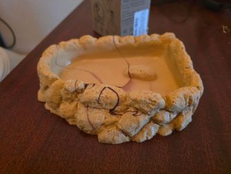 Reptile bowl