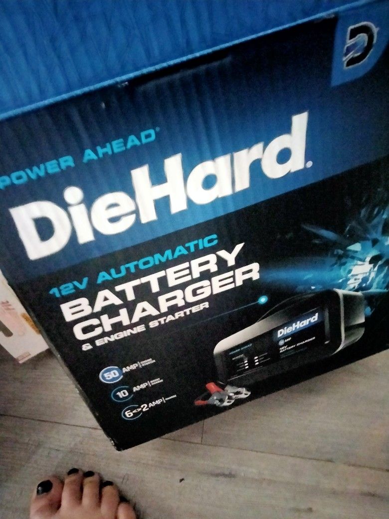 Die Hard 12 V Battery Charger