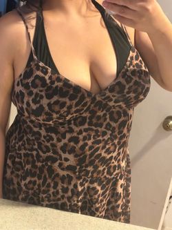 A leopard print dress size 0XL