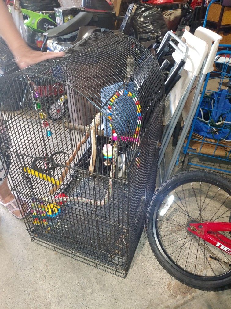 Bird Cage