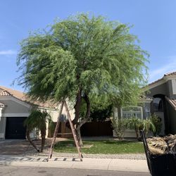 Yard Cleanup Bundle – Trimmer + Operator