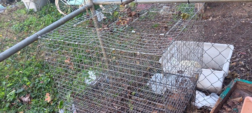 Cage