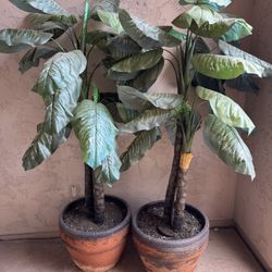 6’ Fake Plants