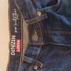 Biys LEVIS Denizen