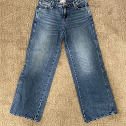 Pacsun Baggy Low Rise Jeans