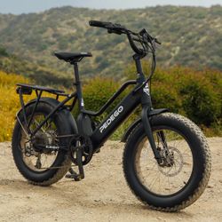 E bike
