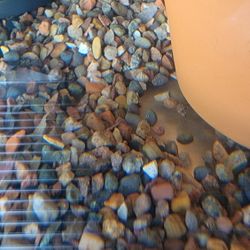 Fish Tank Decor 