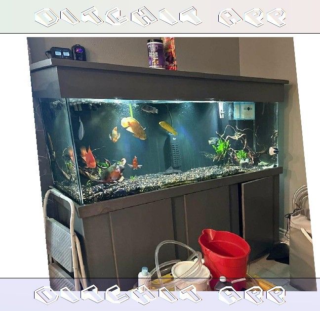 High-Quality Aquarium System - Premium Standard Choice cause you