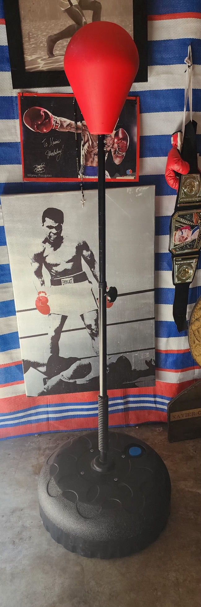 Reflex Punching Bag