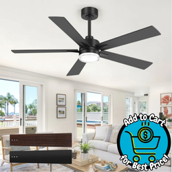52" Modern Ceiling Fan with Light, Matte Black Finish, 5 Reversible Blades