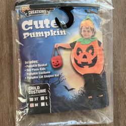 Kids Pumpkin Costume