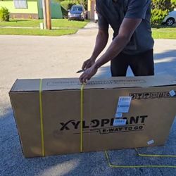 Tronluk Electric Bike 