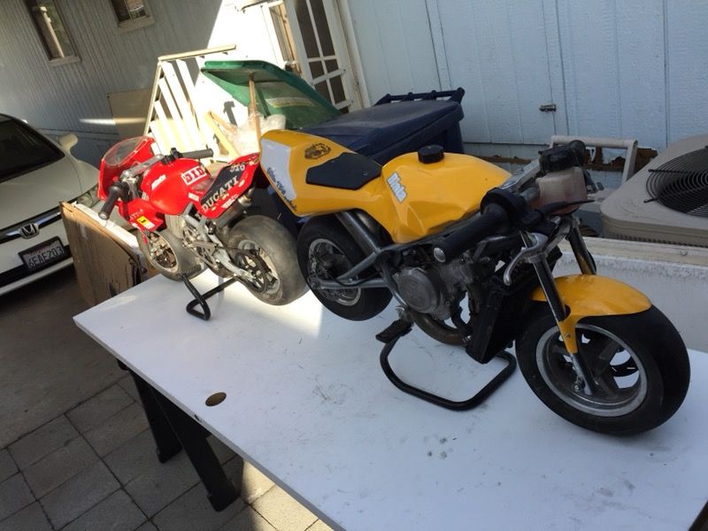 2 blata elite 13’s (racing Italian import pocket bikes) mini/midi motos