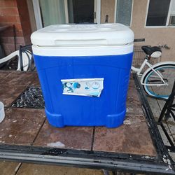 Igloo Cooler