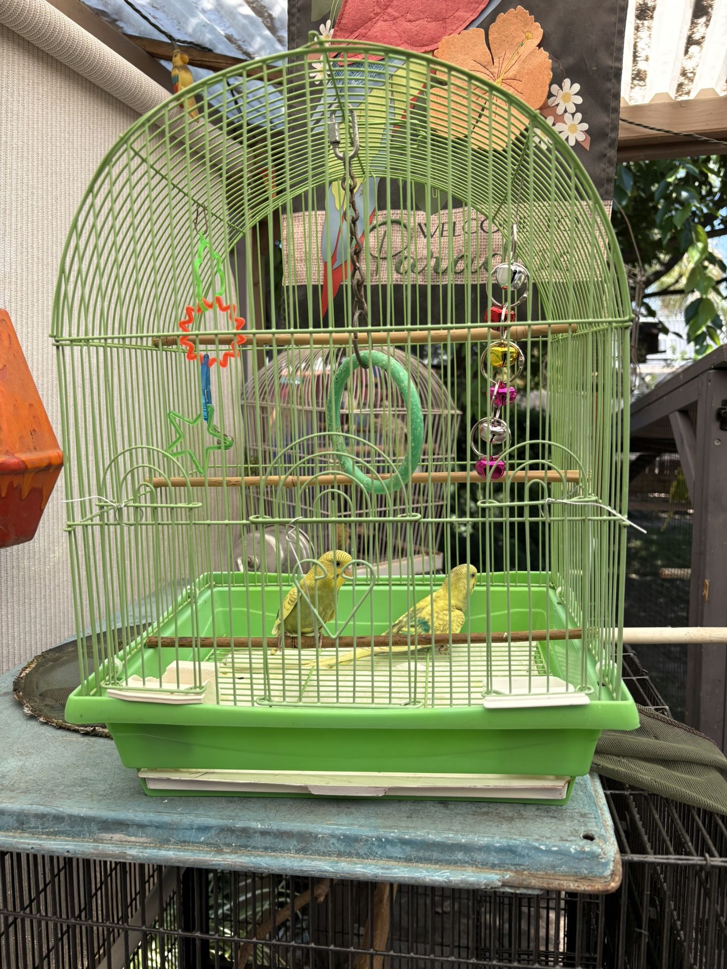 Birdcage
