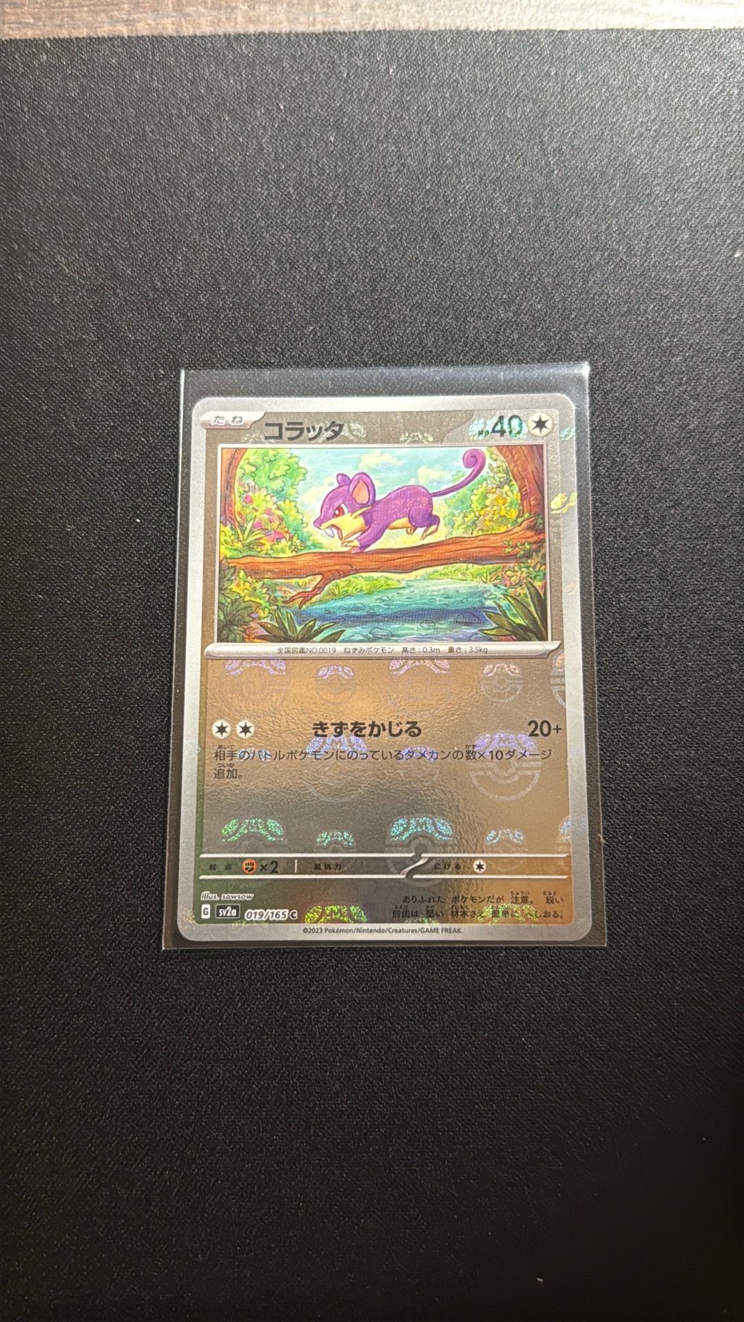 Pokemon card- rattata (master ball holo)