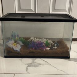 Reptile/fish Tank