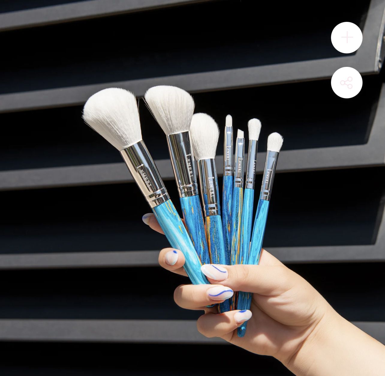 Makeup Brushes