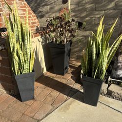 3 Planters